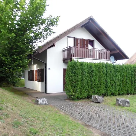 Viola Kirchheim (Hessen)