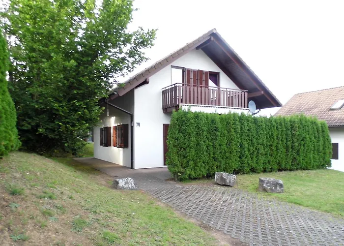 Viola Kirchheim (Hessen)