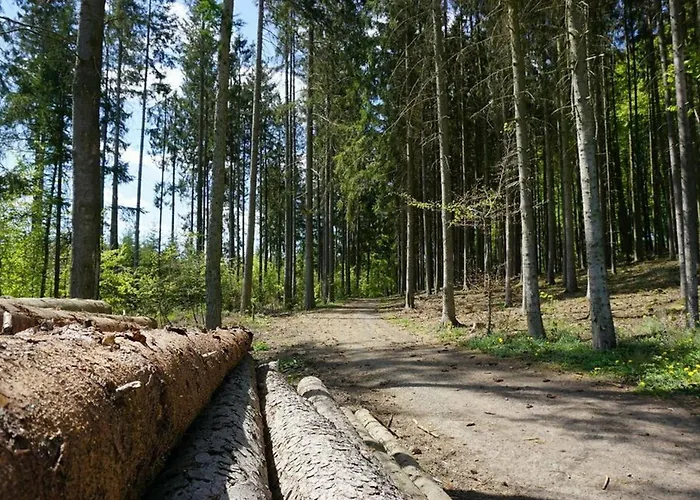 Viola Semesterbostad